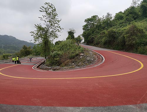 ��ͨ��ɫ·������